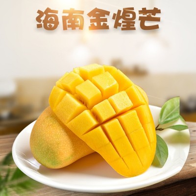 海南金煌芒大青芒当季新鲜水果芒果5斤水果批发 厂家直供图2