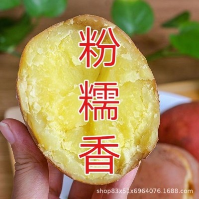 云南红皮黄心土豆高山洋芋马铃薯整箱蔬菜3/5/9斤批发一件代发图3