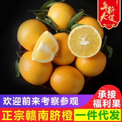 正宗江西橙子赣南脐橙新鲜20斤时令水果整箱当季应季水果礼盒图2