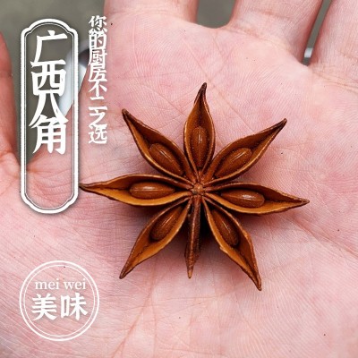 香料批发花椒八角桂皮香叶卤肉干杂调料孜然桂皮肉蔻小茴香500g装图5