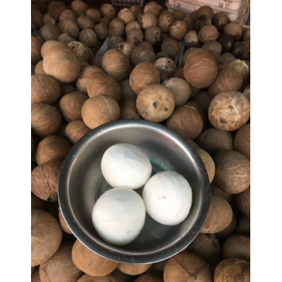 海南椰子椰皇老椰子毛椰子椰肉椰肉片椰球各类椰子加工产品可开壳图3