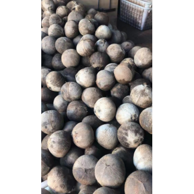 海南椰子椰皇老椰子毛椰子椰肉椰肉片椰球各类椰子加工产品可开壳图5