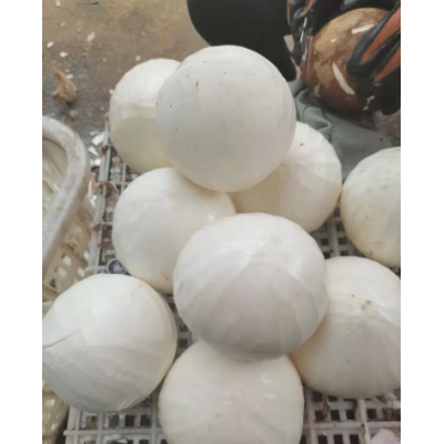 海南椰子椰皇老椰子毛椰子椰肉椰肉片椰球各类椰子加工产品可开壳图2