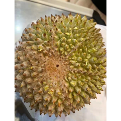 【整件批发】马来西亚黑刺榴莲D200液氮整果/榴莲王/可零售选果图2