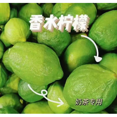 广东香水柠檬大果！青柠檬果园供给：电18924221650图4