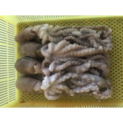 舟山海鲜 冷冻章鱼 长脚章鱼八爪鱼新鲜冷冻二去米鱼冷冻食品散装图3