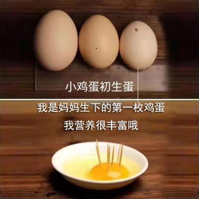 初生蛋无抗富硒新鲜鸡蛋40枚12-15个1斤非柴土散养生食鸡蛋包邮图3