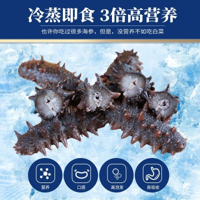 源头厂家 大连辽刺参 非干货 佛跳墙 酒店 批发 即食海参从德图4