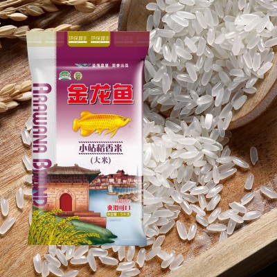 金龙鱼小站稻香米 大米 5KG 批发特价 天津小站地区稻米 2袋起批图3