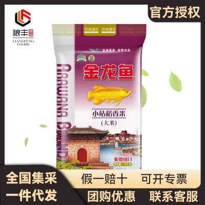 金龙鱼精选长粒香 5KG 粳米 清香爽口绵软Q弹 大米10斤 2袋起批图5