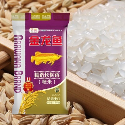 金龙鱼精选长粒香 5KG 粳米 清香爽口绵软Q弹 大米10斤 2袋起批图2