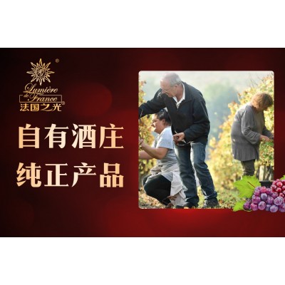 【法国之光葡萄酒】 法国之光葡萄酒诚邀加盟图2