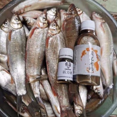 黄尾密码钓鱼小药青尾鱼饵料诱食剂野钓黄尾鲴小药红尾配方打窝料 2瓶起批图2