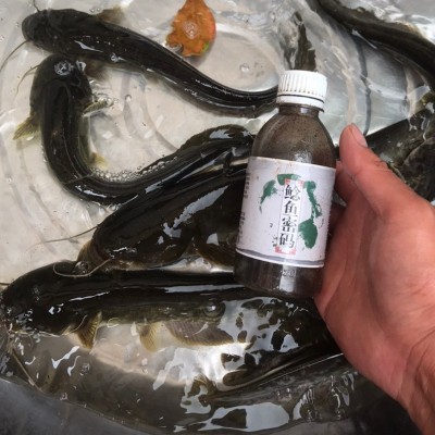 鲶鱼密码钓鱼小药胡子鲶江团鱼饵料诱食剂叉尾鮰窝料配方渔具用品 2瓶起批图3