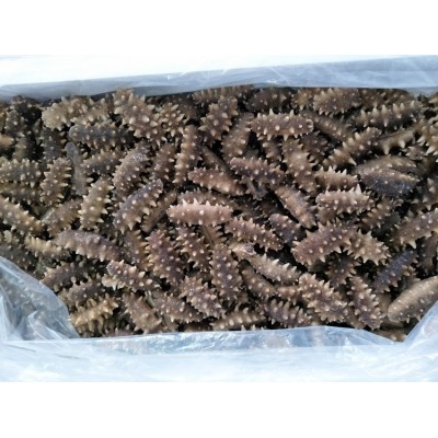 单冻即食海参批发 高压即食抽真空海参 高回头率送礼海参500g 2件起批图2