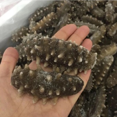 单冻即食海参批发 高压即食抽真空海参 高回头率送礼海参500g 2件起批图4