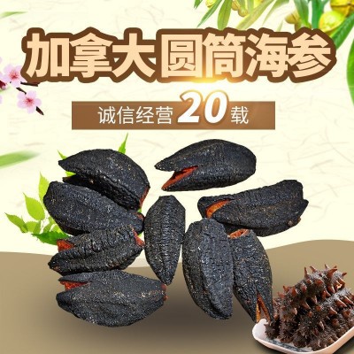 顺丰津参堂厂家海参干货500g批发淡干批发新鲜现货加拿大圆筒海参 2件起批图2