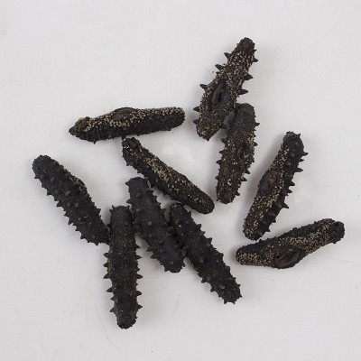 工厂直供 淡干海参500g 津参堂干制水产品海参干货 海鲜干货 2件起批图2