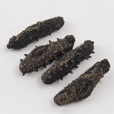 工厂直供 淡干海参500g 津参堂干制水产品海参干货 海鲜干货 2件起批图3