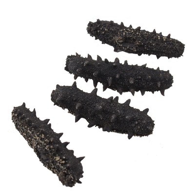工厂直供 淡干海参500g 津参堂干制水产品海参干货 海鲜干货 2件起批图5