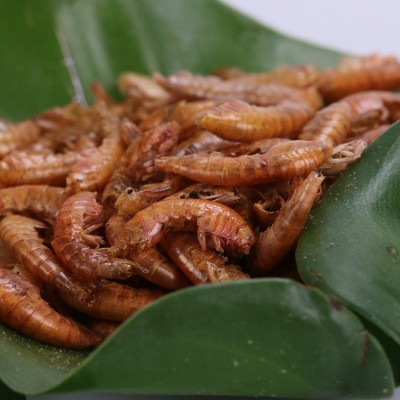 浪花饲料真空冷冻干燥勾虾饲料鱼食饲料勾虾勾虾饲料散装厂家直销 2千克起批图4
