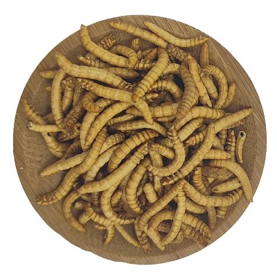 冻干红丝虫面包虫河虾红头虾地图招财鹦鹉鱼食增红龙鱼粮乌龟粮 5千克起批图4