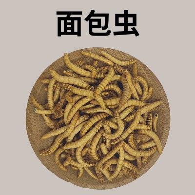 冻干红丝虫面包虫河虾红头虾地图招财鹦鹉鱼食增红龙鱼粮乌龟粮 5千克起批图5