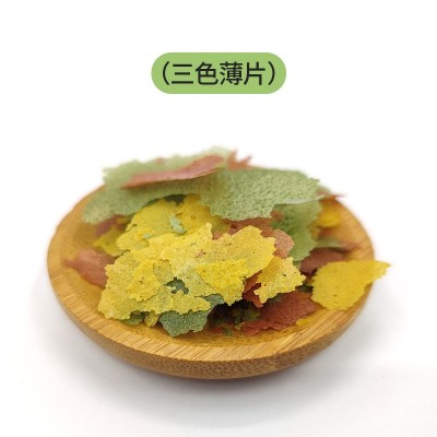 散装薄片鱼食小型观赏鱼饲料高蛋白三色薄片增色增体鱼粮工厂批发 2千克起批图5