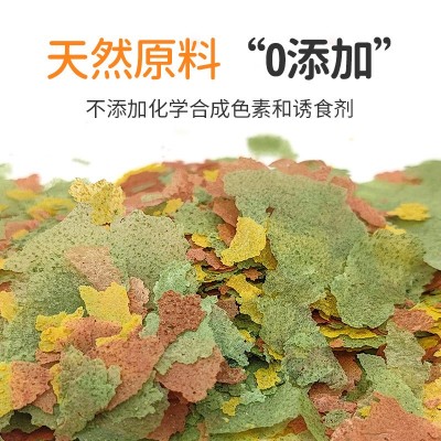 散装薄片鱼食小型观赏鱼饲料高蛋白三色薄片增色增体鱼粮工厂批发 2千克起批图3