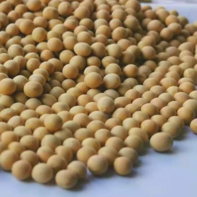东北大豆非转基因黄豆 绿色食品基地豆浆原料真空包装每件450克两件起批图3