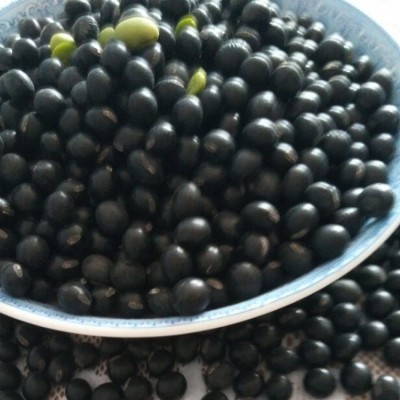 批发东北大豆非转基因 绿心黑豆青仁乌绿色食品基地450克真空装两件起批图3