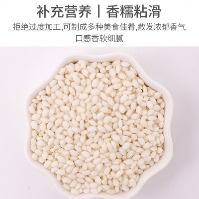 东北糯米 白糯米 东北糯米厂家 糯米批发两件起批图4