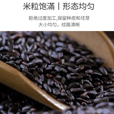 东北大米粗粮黑米500g五谷杂粮紫米煮粥健身黑米饭粥米厂家批发两件起批图2