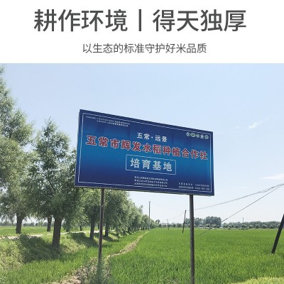 长粒红米五谷杂粮东北红糙米红粳米农家新红米厂家批发500g两件起批图3