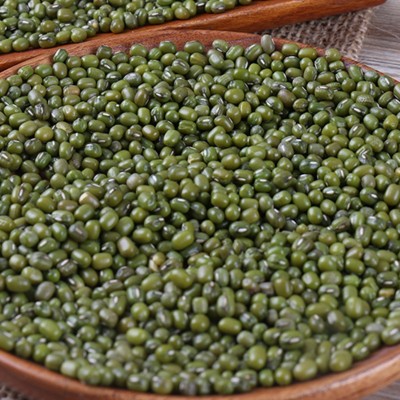 优质东北绿豆粥农家五谷杂粮现货批发500g两件起批两件起批图4
