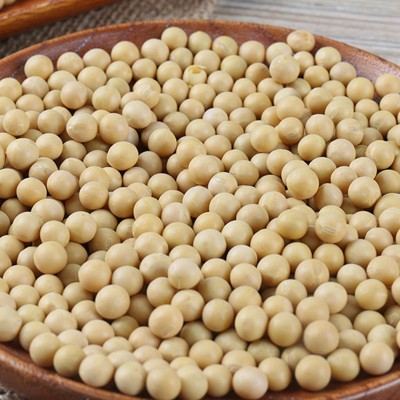 供应东北大豆 农家自产粗粮黄豆 五谷杂粮豆浆豆腐原料散装批发两件起批图3