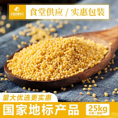 陕北小米米脂小米25kg编织袋装陕北黄小米散装批发食堂供应两件起批图2