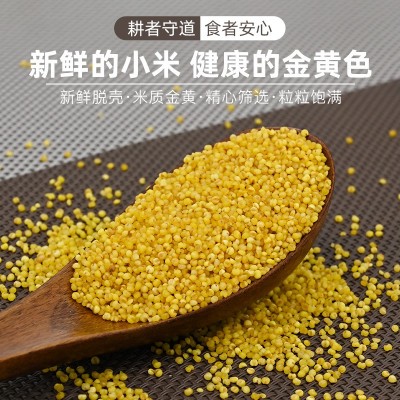 陕北小米米脂小米25kg编织袋装陕北黄小米散装批发食堂供应两件起批图3