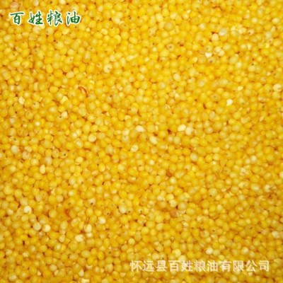 大量供应米糠油糠 养鱼家禽家畜饲料米糠营养丰富高蛋白1200吨起批图3