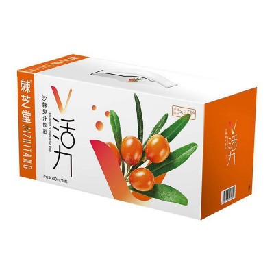 棘芝堂沙棘果汁饮料网红VC饮品生榨含40%原浆批发礼盒装10瓶/箱两件起批图3