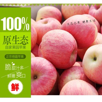 【现货天天发】烟台栖霞红富士苹果新鲜甜脆水分足净重5斤一件代两件起批图2