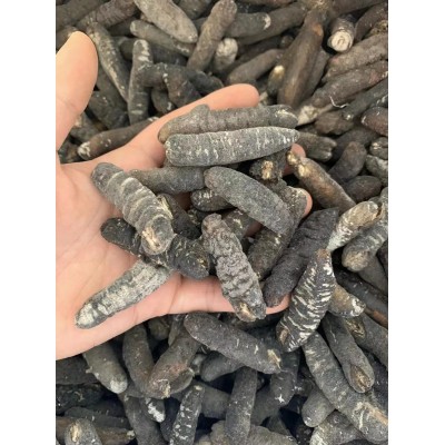 批发海参干货 淡干明秃参 黑参厚肉 大盆菜厂原料海参80-90头500g两件起批图2