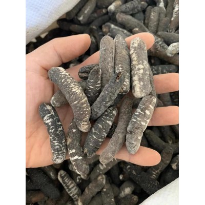 批发海参干货 淡干明秃参 黑参厚肉 大盆菜厂原料海参80-90头500g两件起批图3