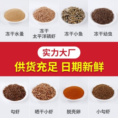 批发冻干面包虫干大麦虫红虾观赏鱼饲料黄粉虫冻干宠物仓鼠粮龟粮两件起批图4