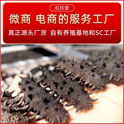 大连纯淡干海参干货批发大连特产非礼盒干制辽参水产大连海参两件起批图3