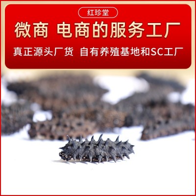 大连特产干制辽刺参大连淡干海参干货50g水产干货批发大连海参两件起批图4