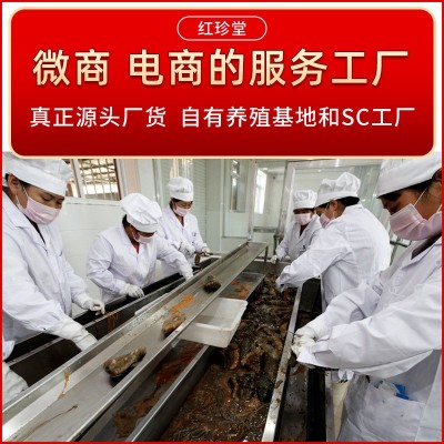 淡干海参批发非海参礼盒水产干货特产海参干货两件起批图2
