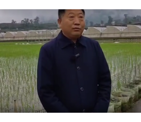 短视频新闻：5月10日中午，重庆万州区同鑫现代农业发展有限公司董事长卢长坤接受 采访：介绍万州同鑫蔬菜大观园及现代农业发展情况2023-5-10