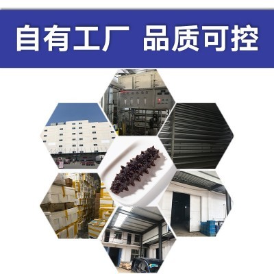 工厂直发大连即食海参辽参非海参干货500g批发源头厂家 2盒起批图2
