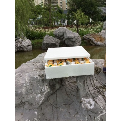 广西老余叔海鸭蛋60克50枚普通泡沫盒装海鸭蛋咸香起沙流油 2盒起批图4